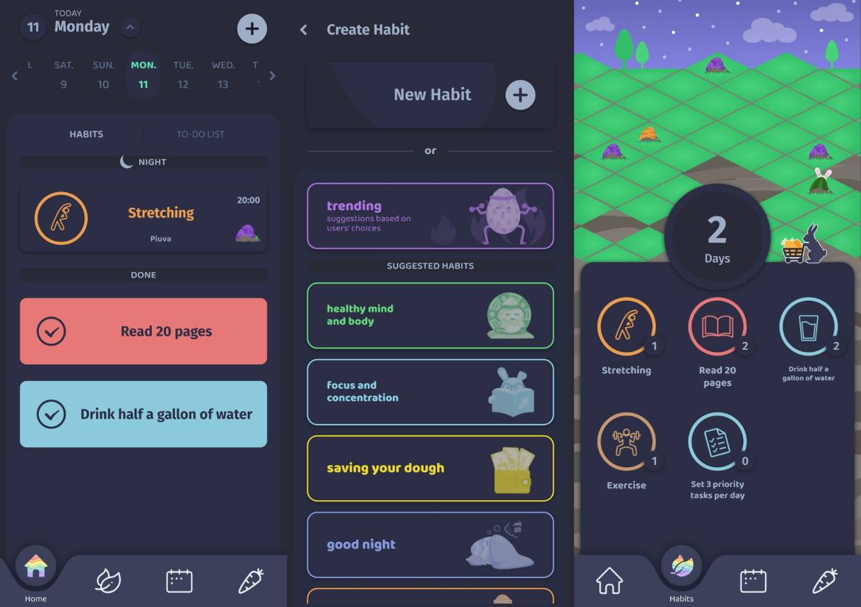 Flutter developers developer - Guilherme P.'s portfolio image