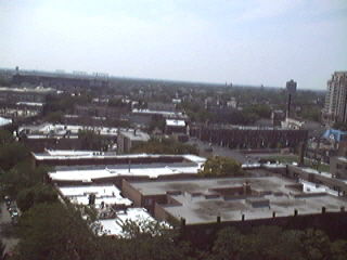 Wrigley Field / Cubs