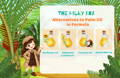 Alternatives to Palm Oil in Formula | The Milky Box