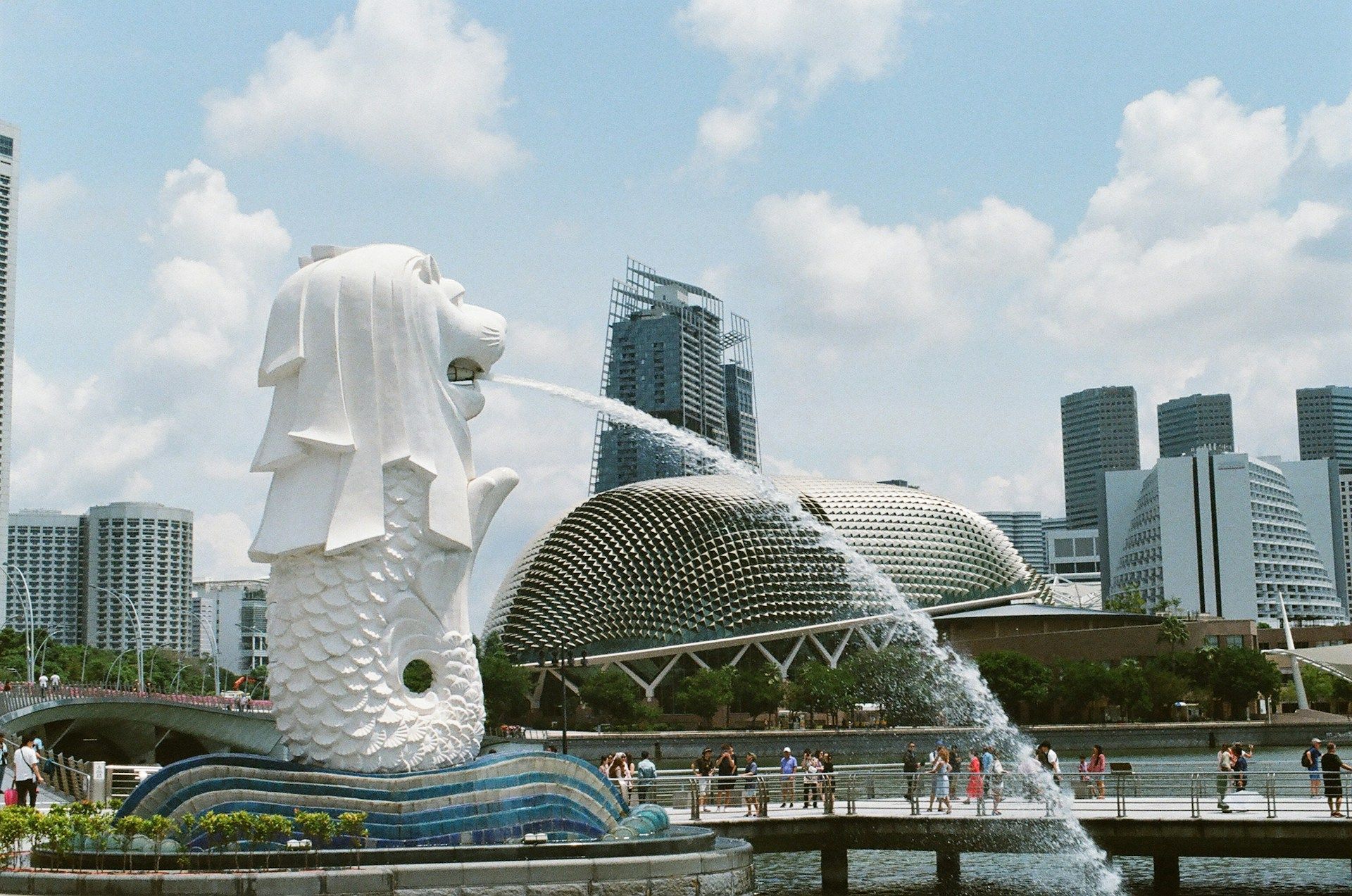 Study in Singapore from India