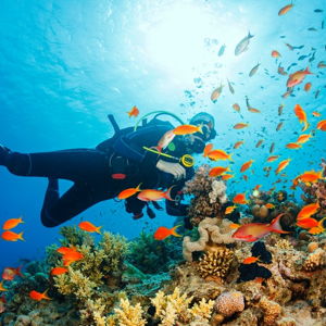 Scuba Diving