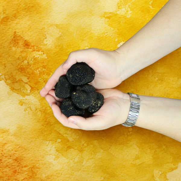 truffe-dhiver-le-diamant-de-la-cuisine