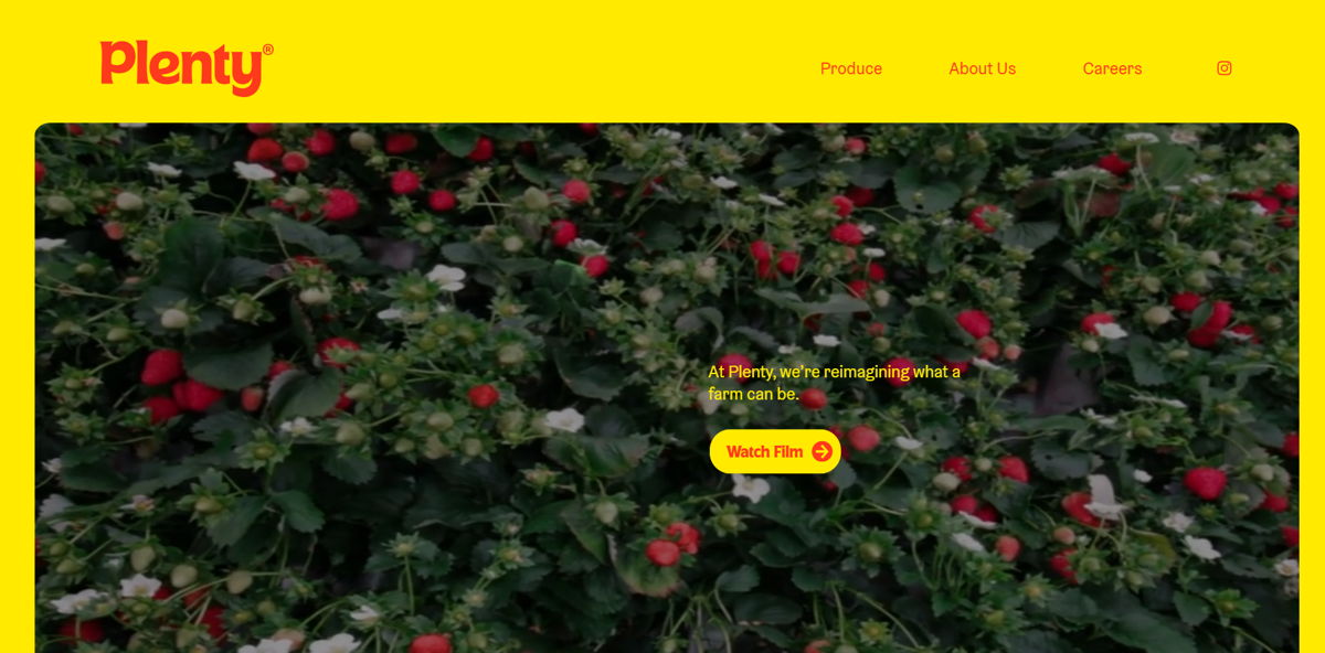 Screenshot of Plenty , from the wordpress websites collection.