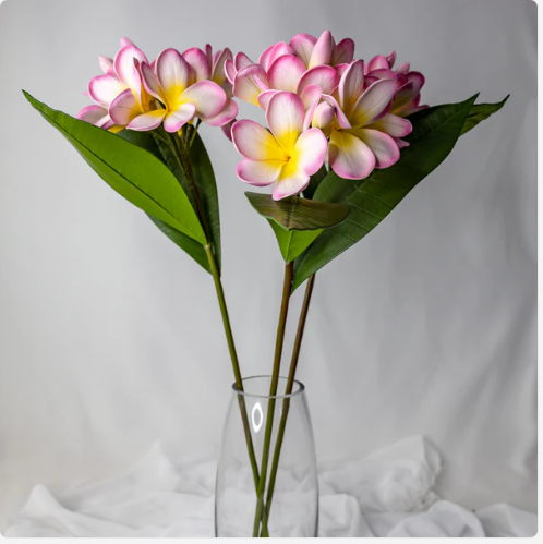 Classic Pink Frangipani Bunch - Realistic Artificial Flowers