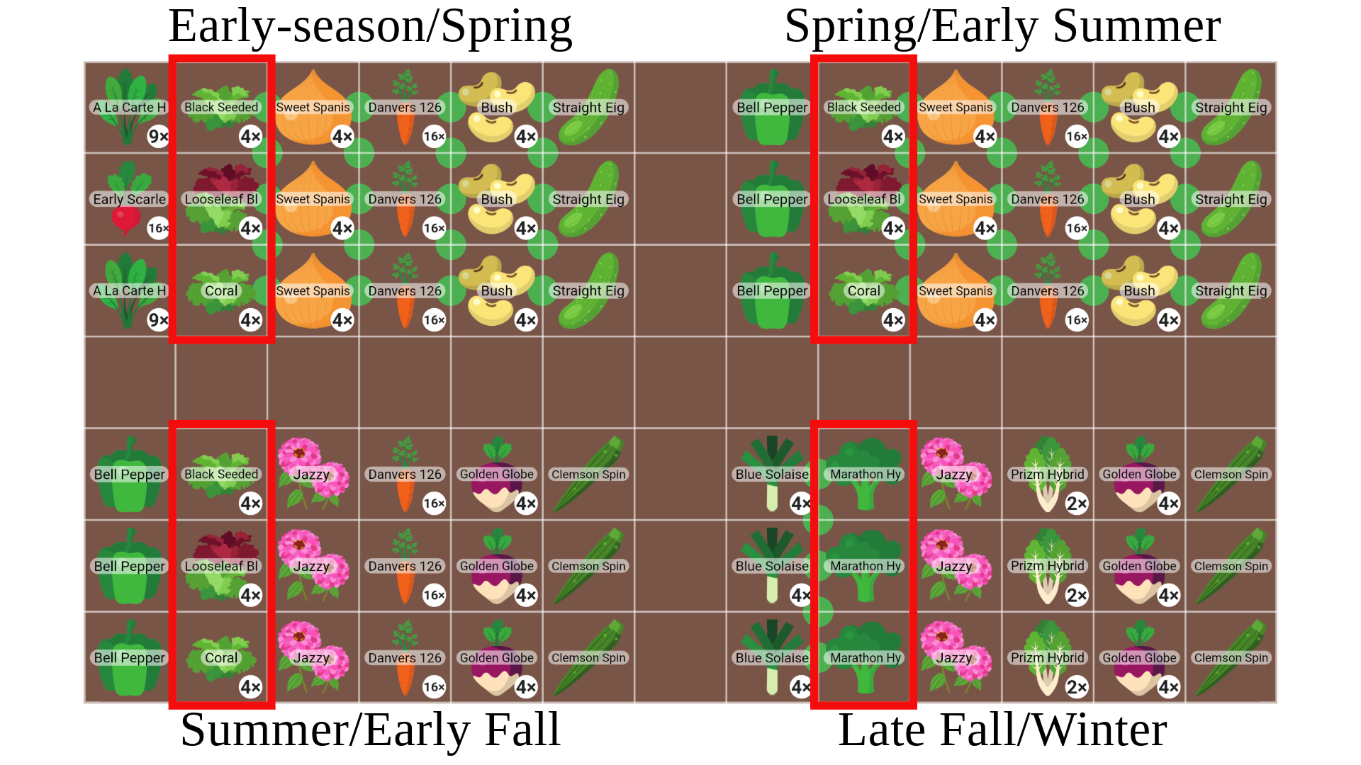 garden planting plan with lettuce highlighted.
