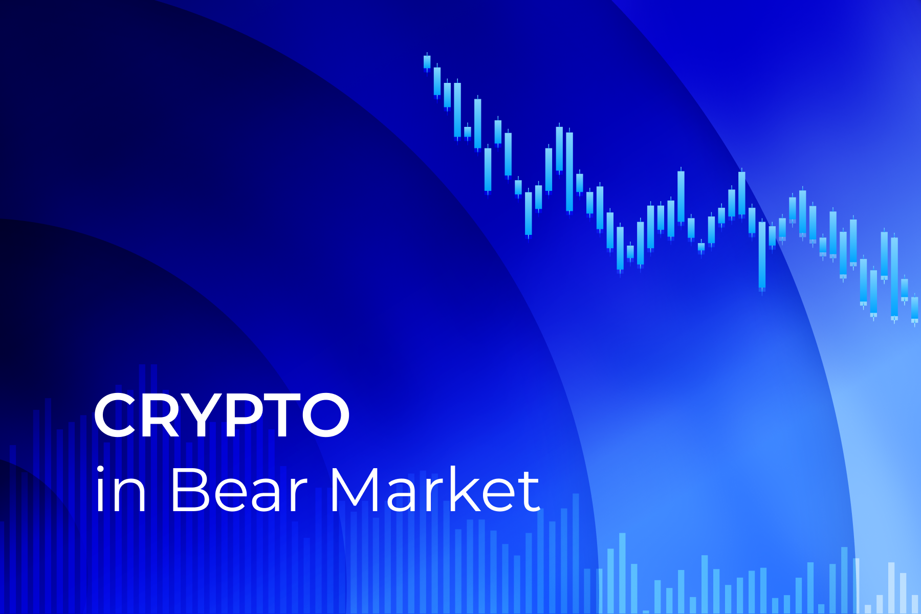 How to Invest In Crypto During a Bear Market