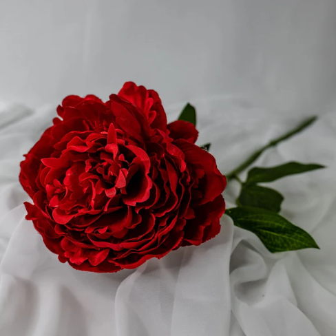 Red Peony Large Bloom - Realistic Artificial Flowers - Image 3