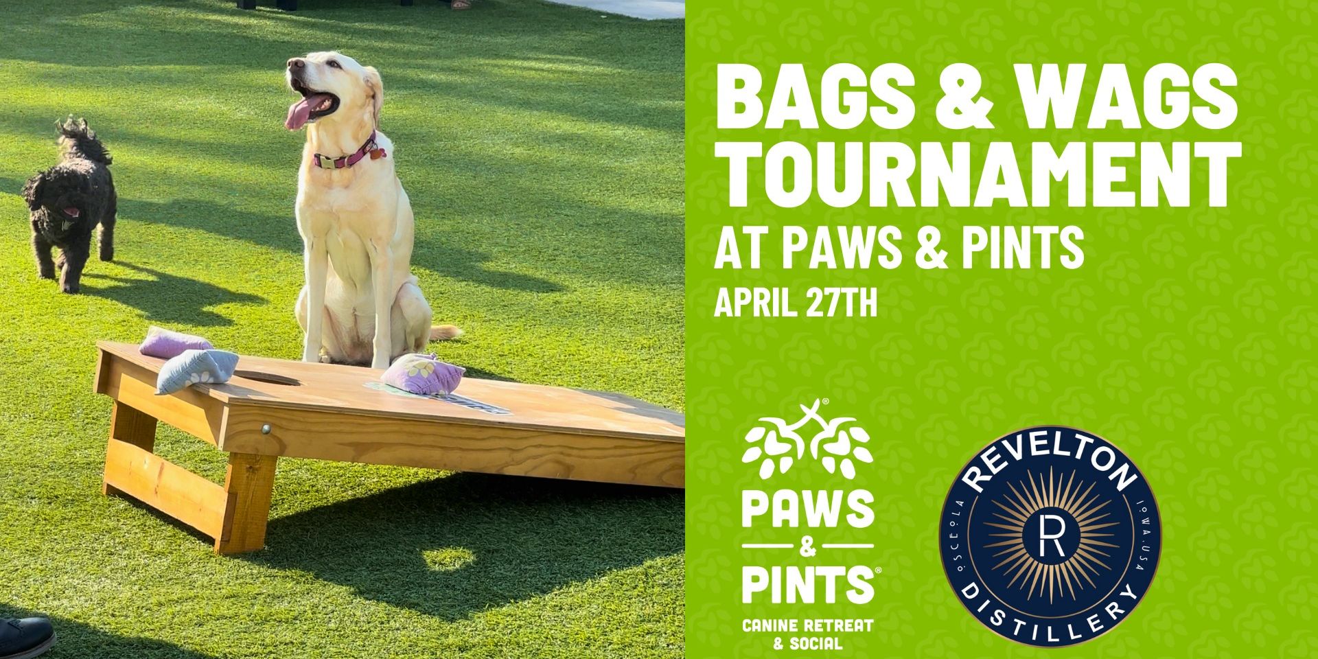 Bags & Wags Tournament promotional image