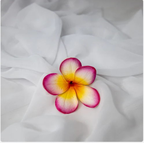 Sunset Pink Frangipani Flowerhead (6 Pack) - Realistic Artificial Flowers - Image 4