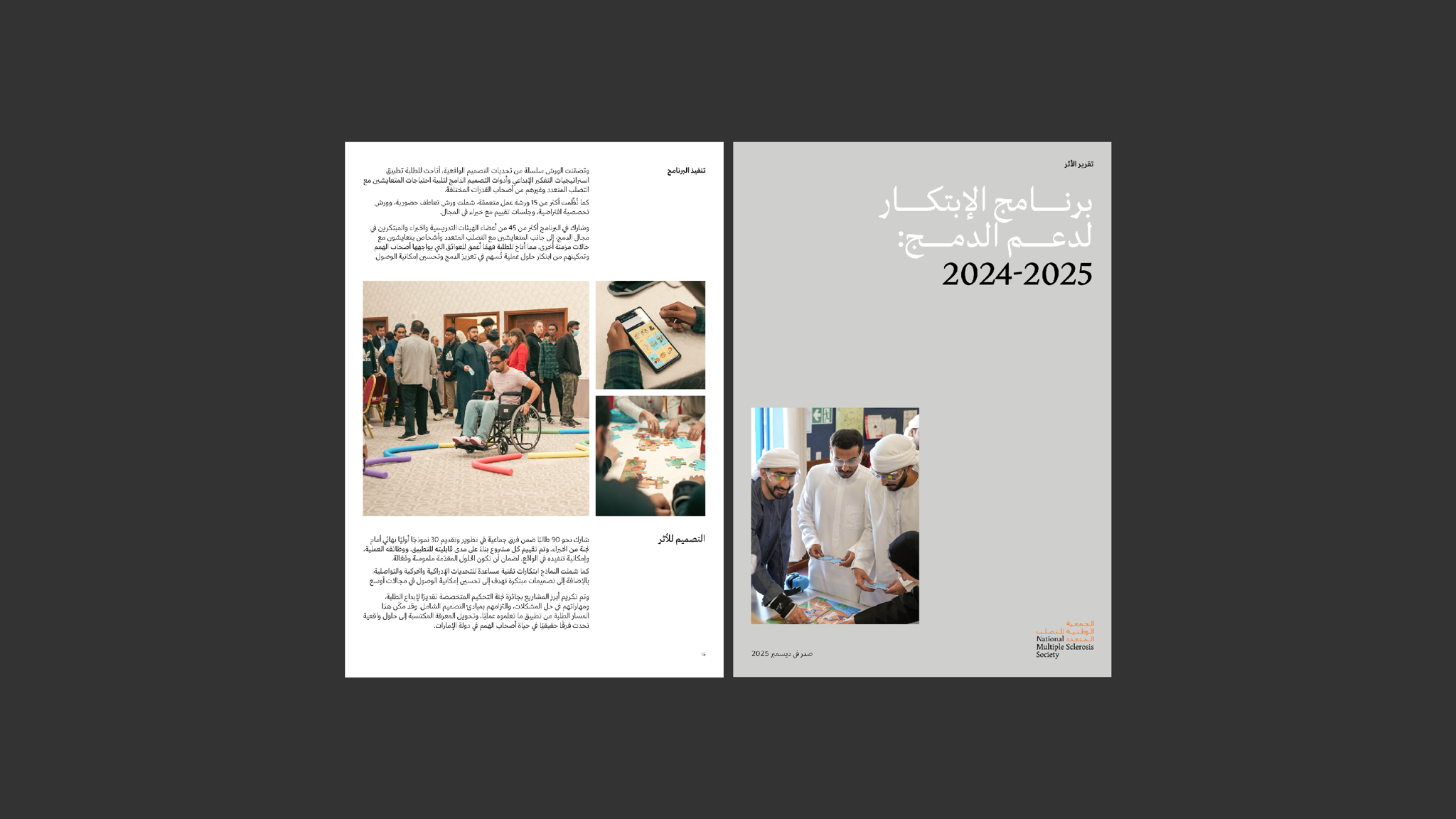 برنامج الإبتكار لدعم الدمج: 2024-2025