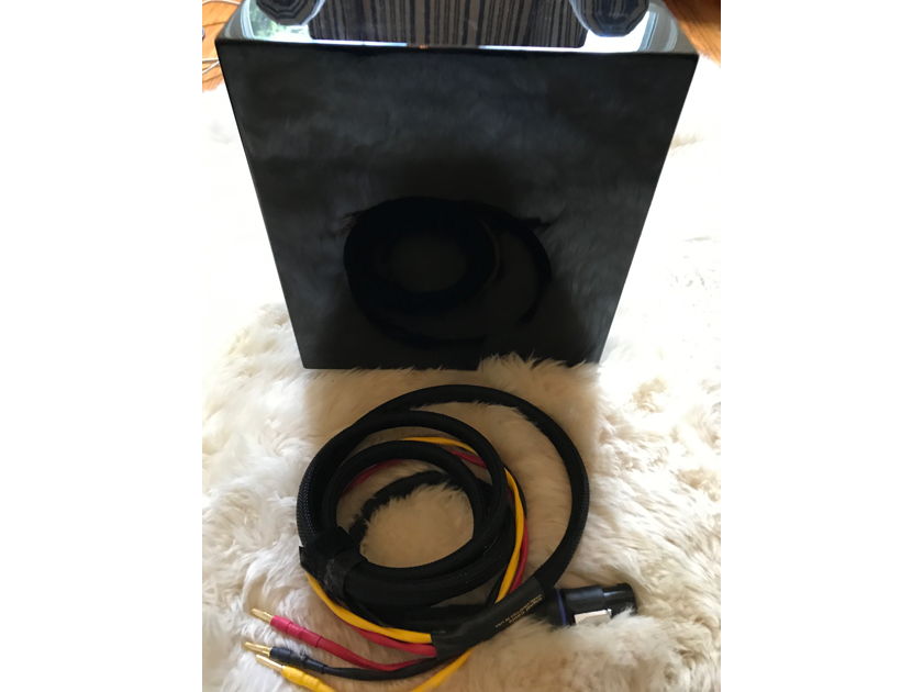 REL Acoustics T-5i Sub w/ SignalCable Audiophile Speakon Cable (8Ft)