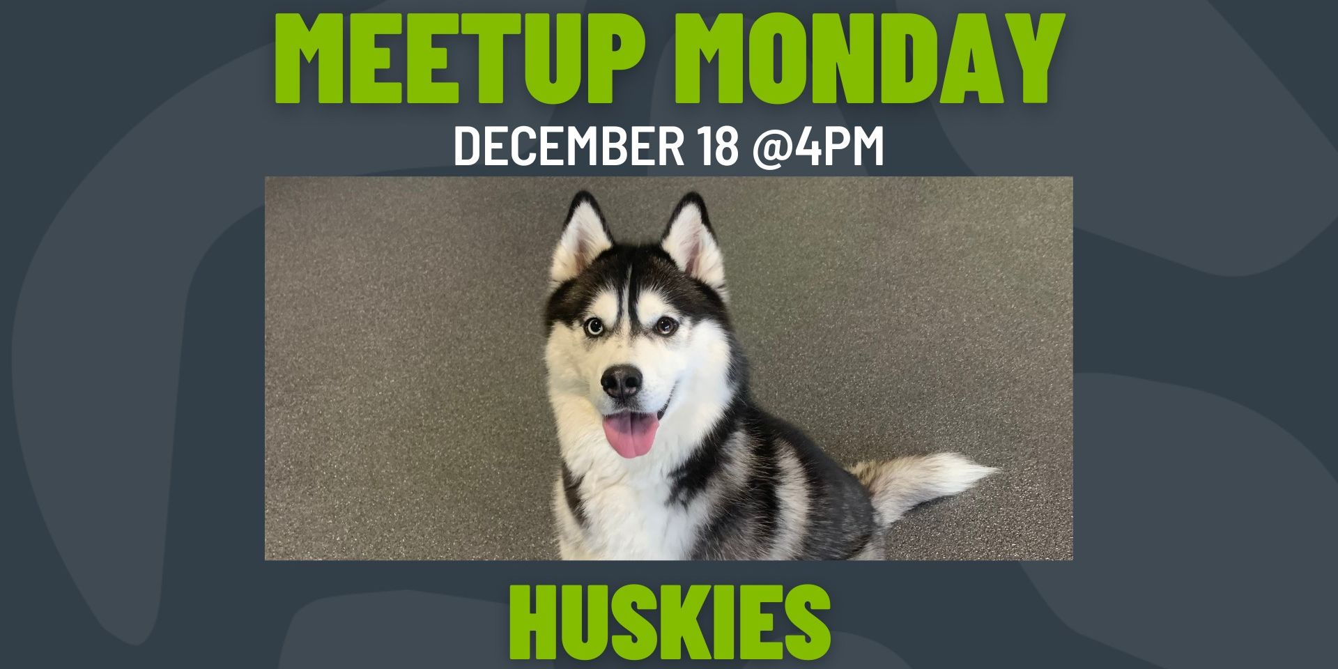 Meetup Monday: Huskies promotional image