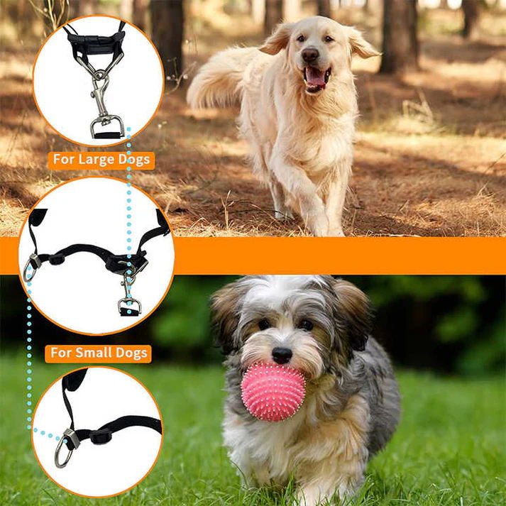 Reflective Pet Waist Bag with Hands-Free Leash for Night Safety - Adjustable Waist Pack with Detachable Pouches - Image 5