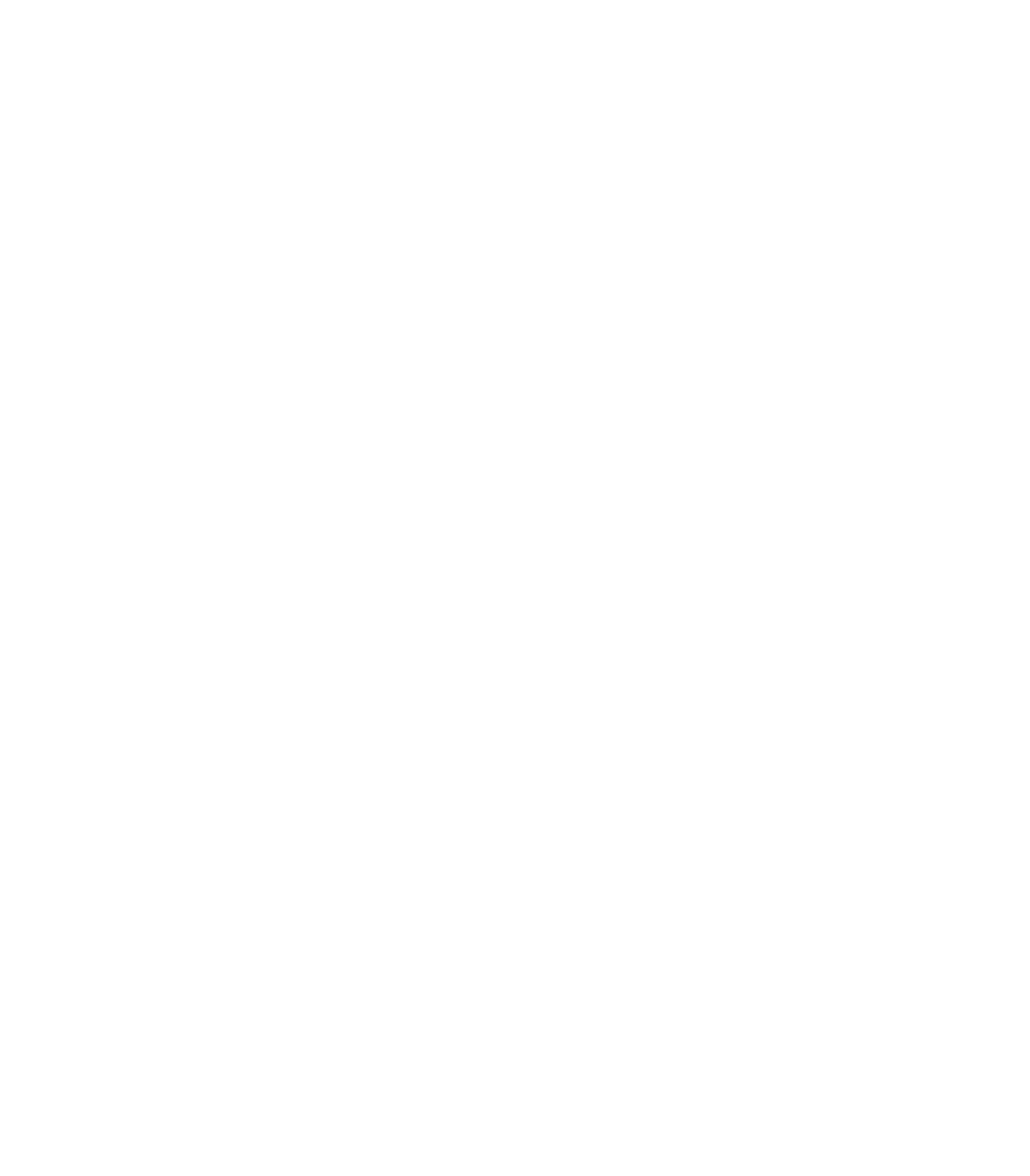 IBIZA ROCKS