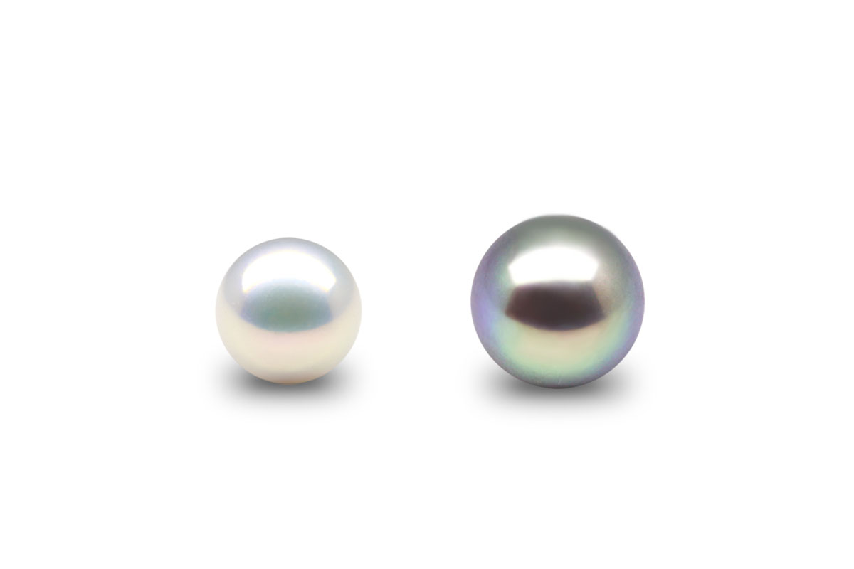 Freshwater vs Edison Pearls