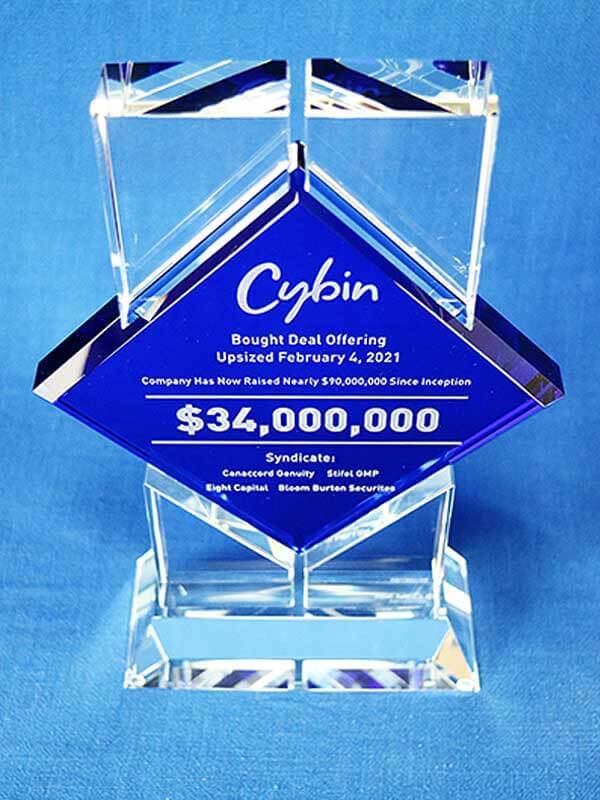 Change Agent Deal Toy - Custom Deal Toy Award