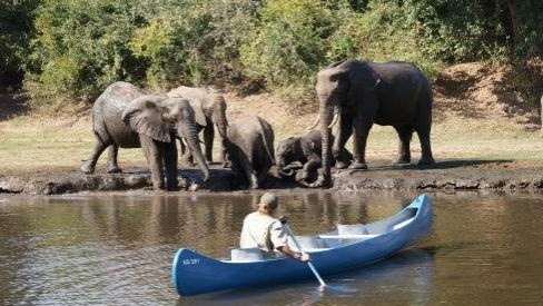 5 nights / 6 days - Great Zambezi Canoe Safari