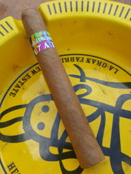Cigar Session Photo