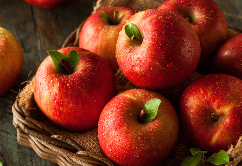 りんご種類 時期