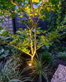 Garden spike lights illuminate trees and planting in this Scoresby VIC landscape lighting project by Havit.