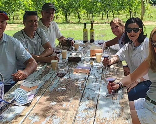 Food & Wine Tours Montepulciano: Montepulciano: wine tasting in the vineyard