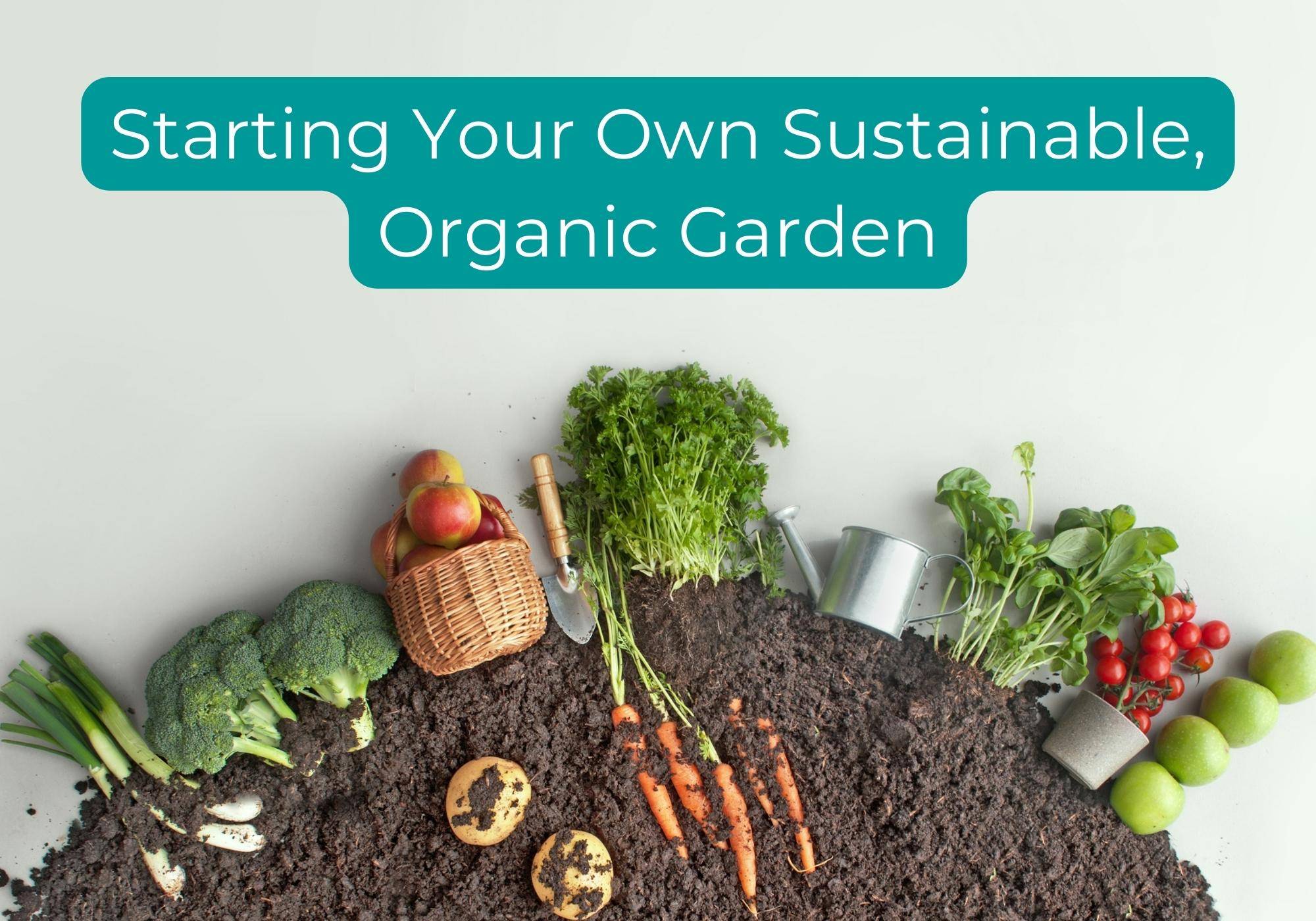 start your own organic garden