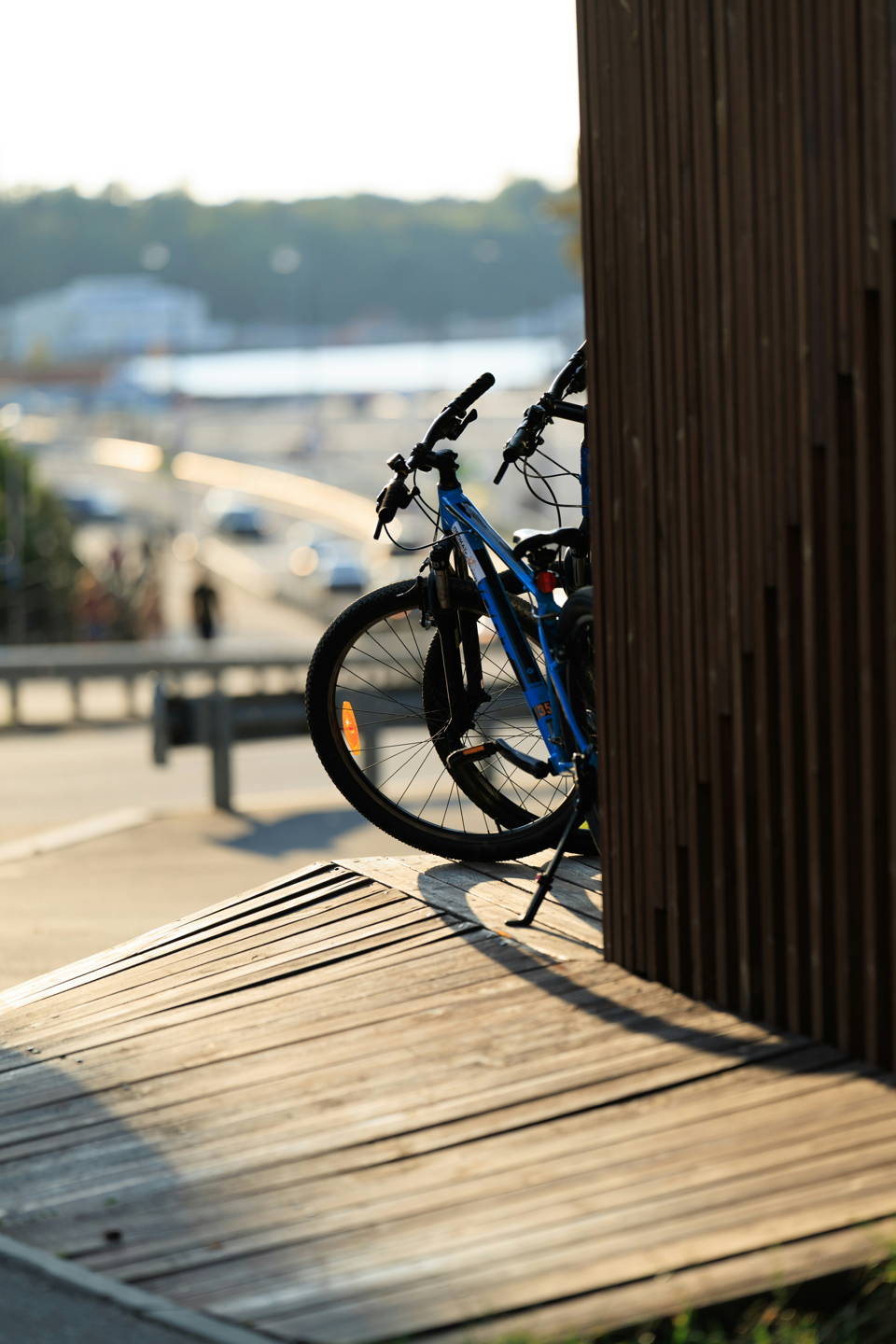 mountain bike elettrica