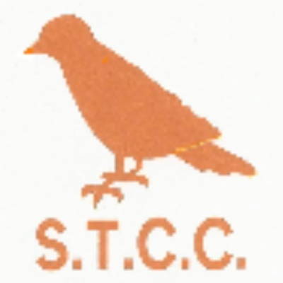 Southport Trinity CC Logo