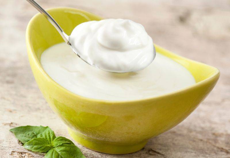 ヨーグルト栄養