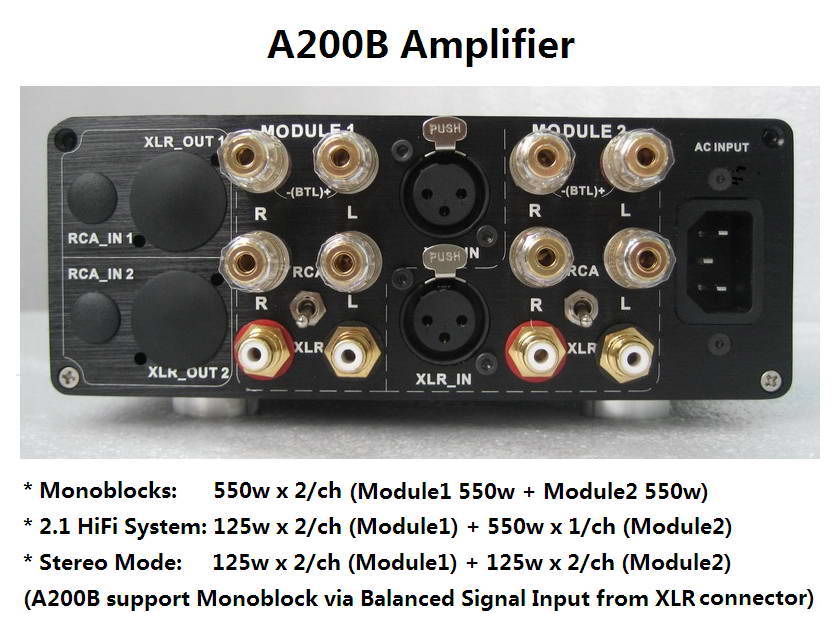 ICEpower 125ASX2 DIY-Kit & Assembled Mono block 550w amplifier Free Shipping