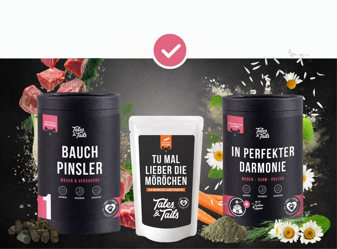 Gesunder, zufriedener Hund nach Magen-Darm-Kur mit Tales & Tails Produkten