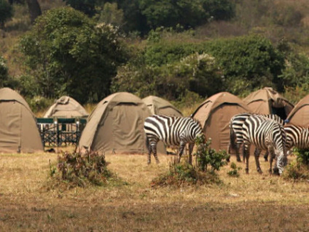 Classic Bush Camping Safari