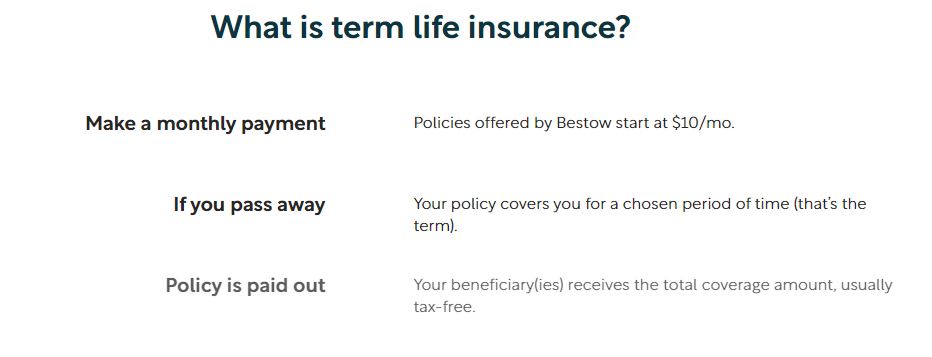 Bestow Life Insurance product / service