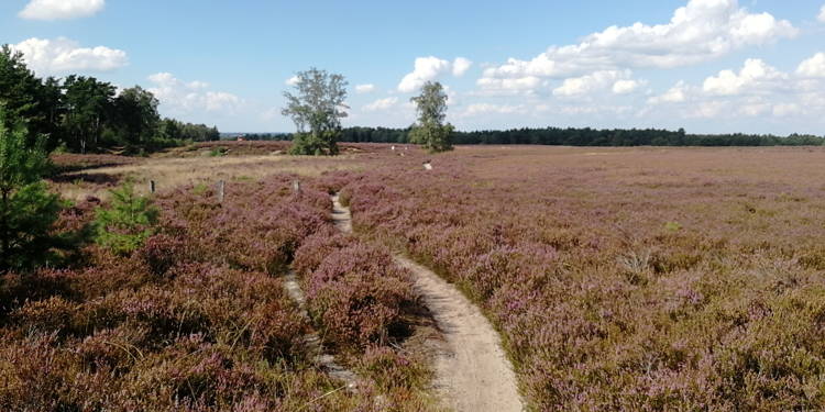 HAMMA // Ostergravel!