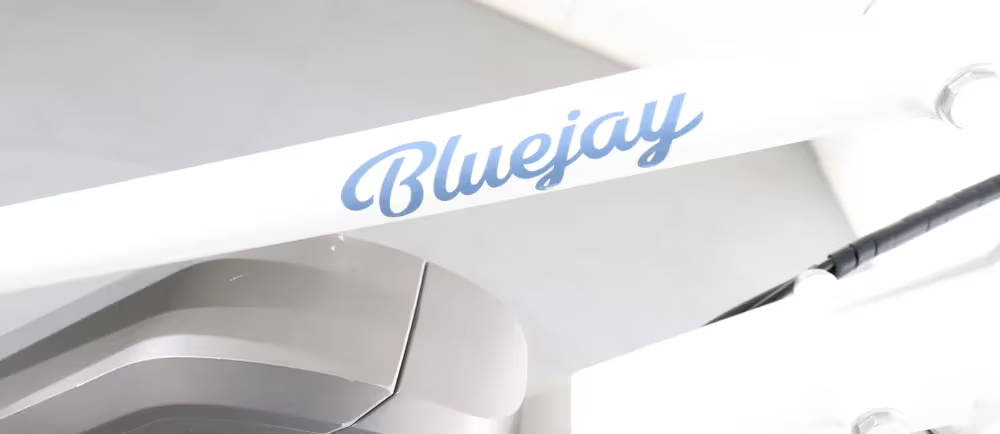 Logo on frame of White Bluejay electric cruiser bike