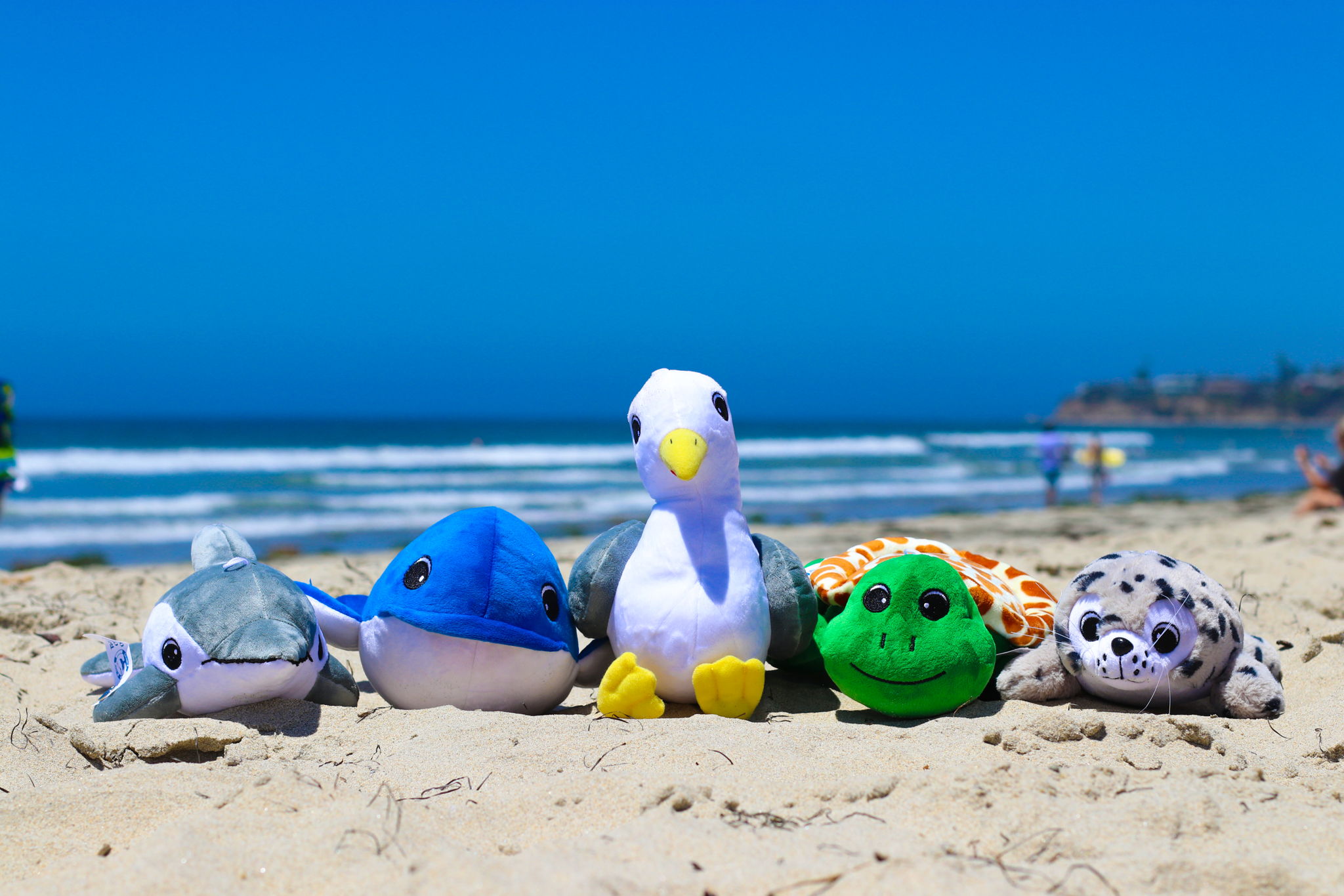 Shore Buddies Group on Beach