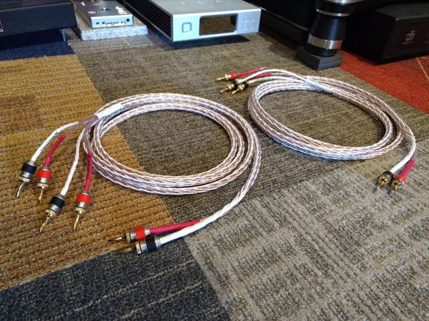 Kimber Kable 8TC speaker cables 8ft bi-wire pair