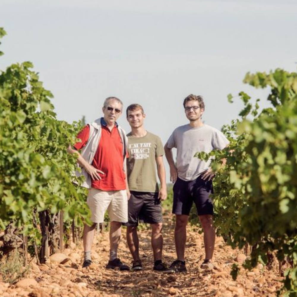 France, vin nature, rawwine, organic wine, vin bio, vin sans intrants, vin sans souffre, vin sans sulfites ajoutés, vin rouge, vin blanc, rouge, blanc, vin propre, vigneron, domaine bio, biodynamie, vigneron nature, vin biodynamique, raizin brut, Quimper, Finistère, Morbihan , lafond roc épine, tavel, lirac, jean baptiste et françois lafond 