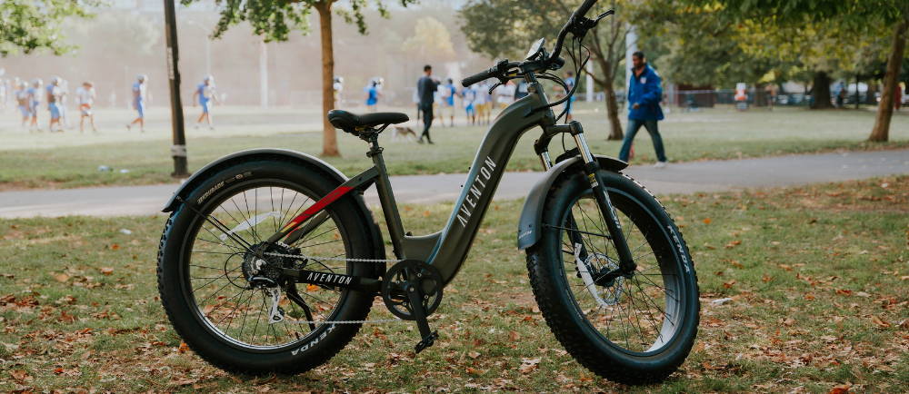 an Aventon Aventure e-bike in a park