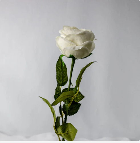 White David Austin Open Bud Real Touch Roses - Realistic Artificial Flowers - Image 3