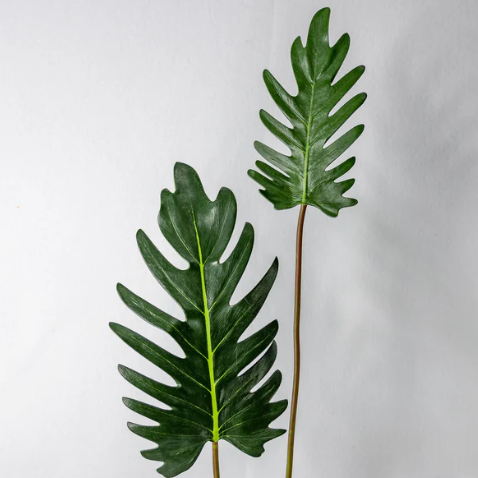 Large Xanadoo Leaf - Realistic Artificial Flowers and Greenery - Image 2