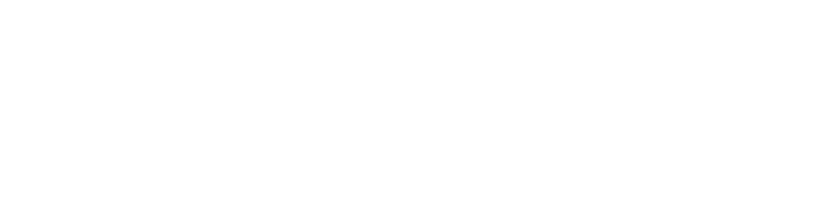 Felipe Fernandes Realtor Logo