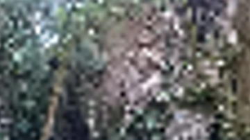 Main Content Image