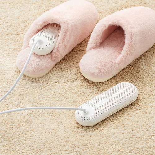 shoe heater