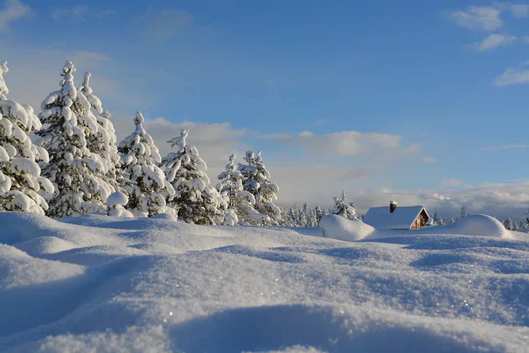 When Winter Is Late