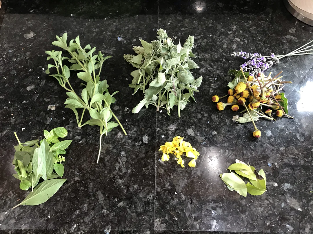 A collection of freshly harvested herbs on a black countertop