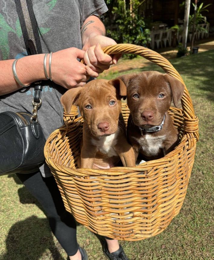 Fairhill Gardens Cafe - Voucher