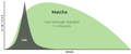 matcha vs caféine durée infographie