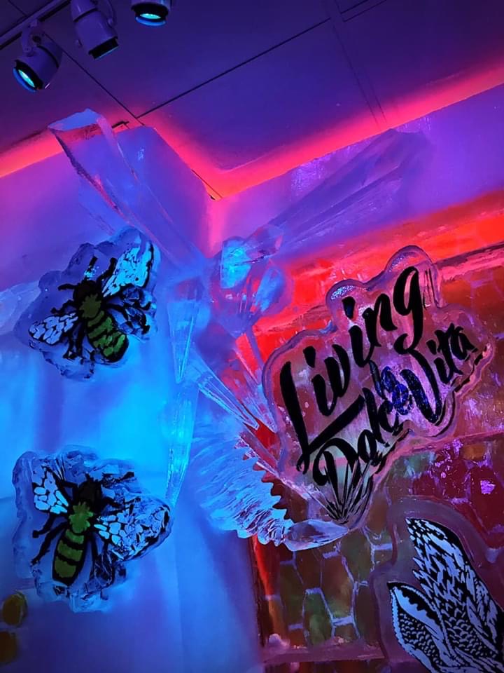 minus5 Ice Experience Uploaded on 2021-12-14