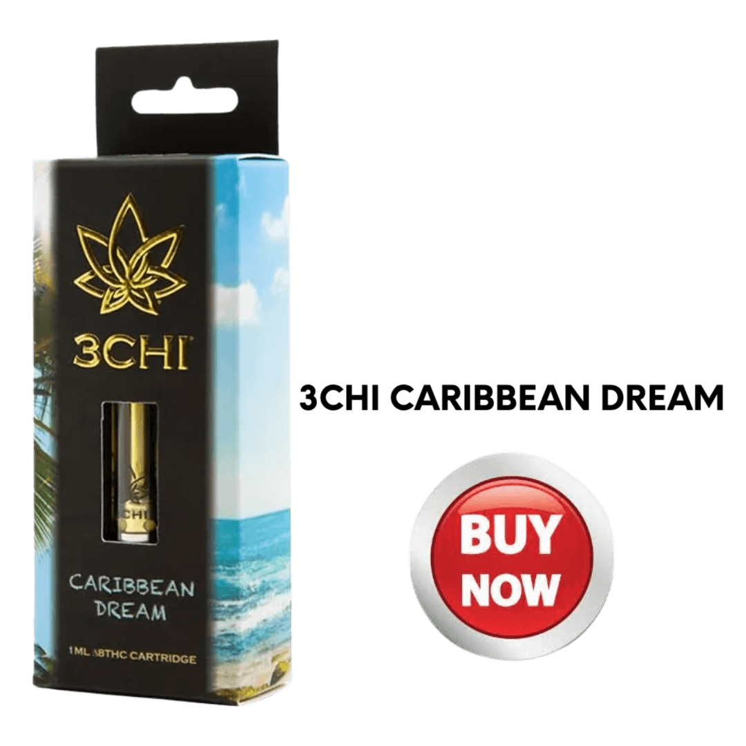 3CHI CARIBBEAN DREAM